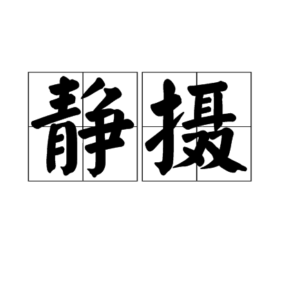 静摄