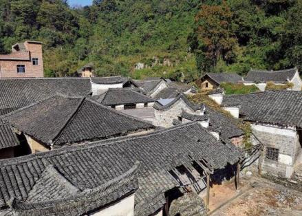 虎溪村 虎溪村