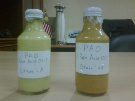 棕榈油酸