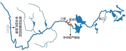 图1 长江中华鲟产卵示意图