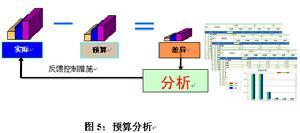 预算分析