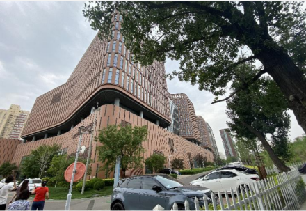 中国宋庆龄青少年科技文化交流中心