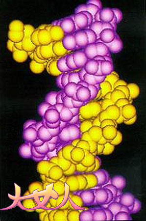 DNA
