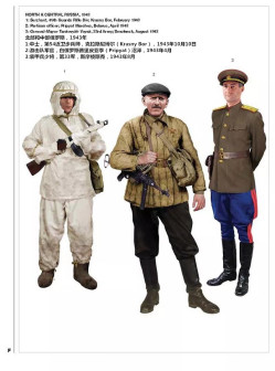 北部和中部俄罗斯，1943年