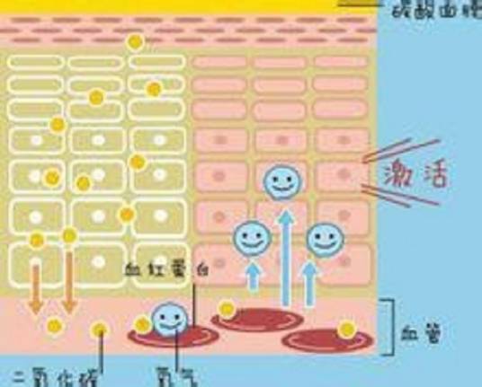 波尔效应