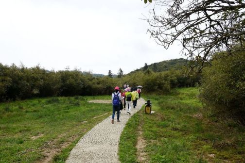 为保护而建设的游客便道