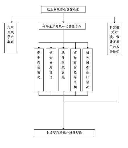 就业专项资金监督检查流程