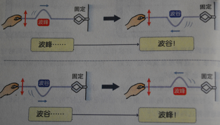 波的固定端反射