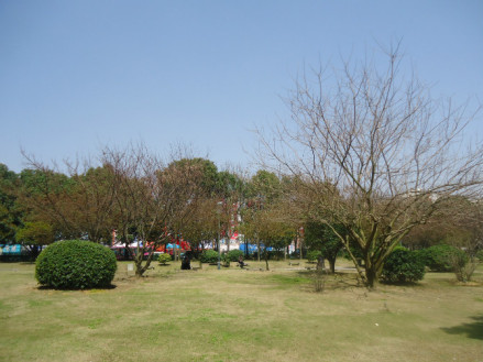 乌伤县