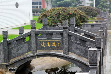 远志桥