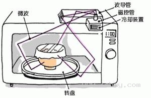 微波炉结构示意图 