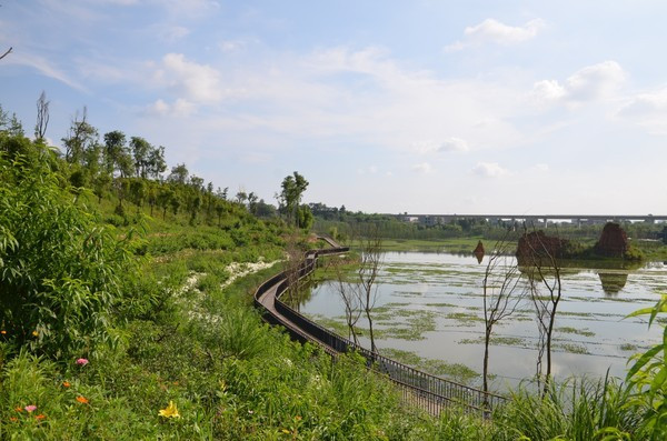 白鹭洲湿地