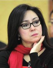 杨凤一