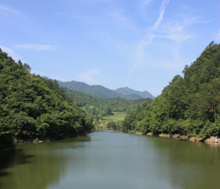 龙凤山镇风景图
