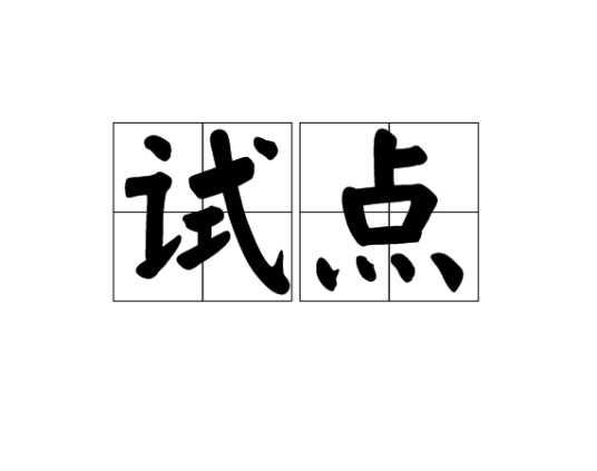 试点 试点