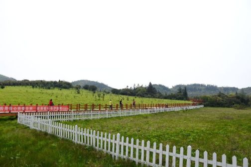 为保护而建设的栈道和护栏