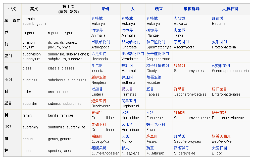 举例