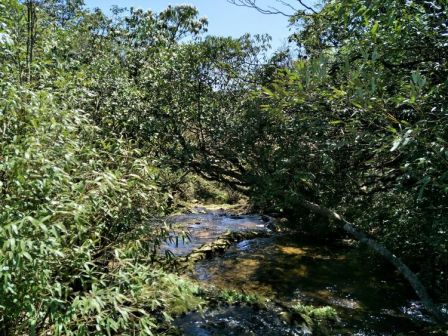 十万古田内的湿地