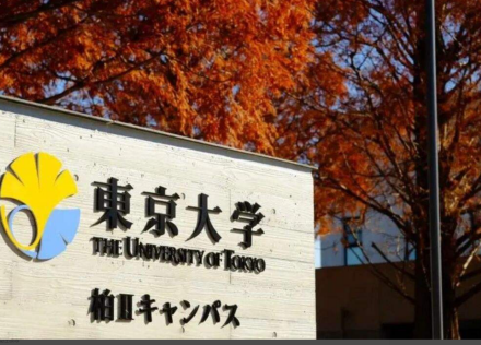 柏校区