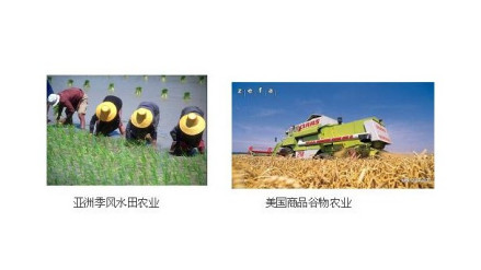 水田农业和商品谷物农业