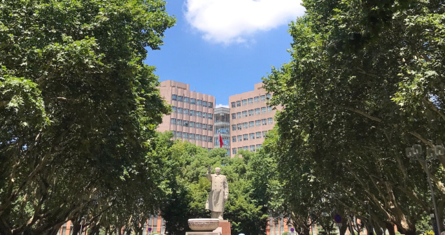 校园景色
