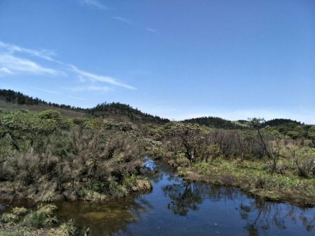 十万古田内的湿地