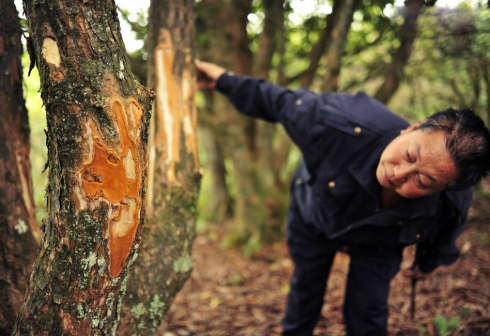 查看偷盗者做的标记
