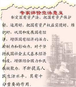 国有资产流失