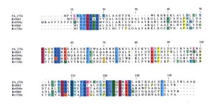 保守天冬氨酸和谷氨酸残基