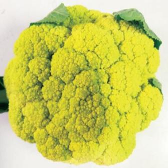 绿色花球