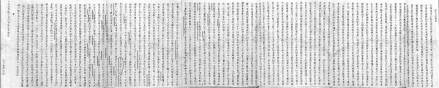 姓氏分布