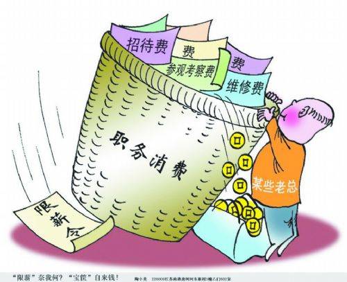 职务消费 职务消费