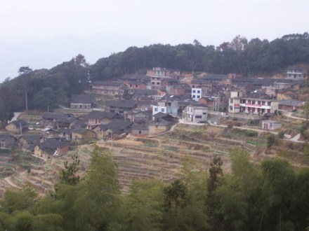 新农村试点村半岭村全貌
