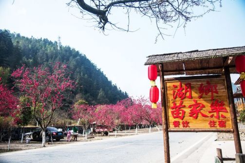 图来自美篇用户兰草