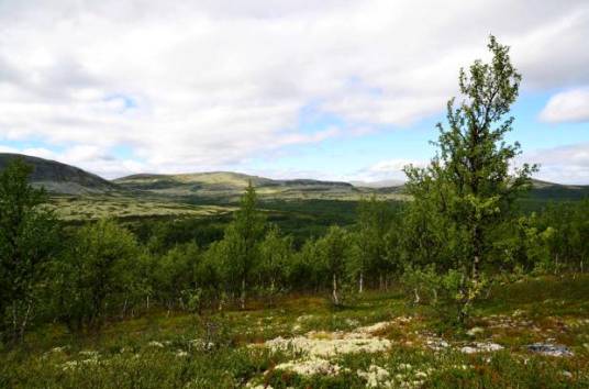 山地气候 山地气候