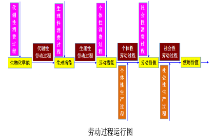 劳动过程运行图