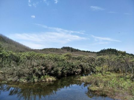 十万古田内的湿地