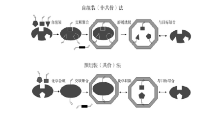 分子印迹技术的类型