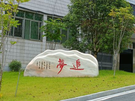 校友捐赠石