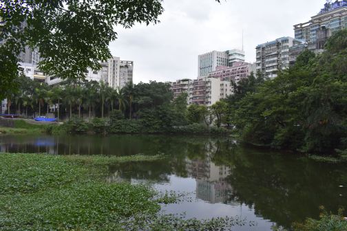 广州市华南理工大学（五山校区）