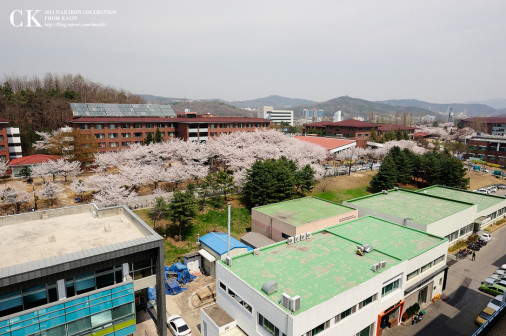 KAIST