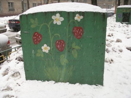 五百万像素拍照