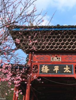桃林太平桥