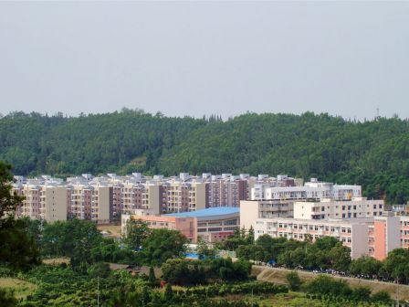 蒲江县