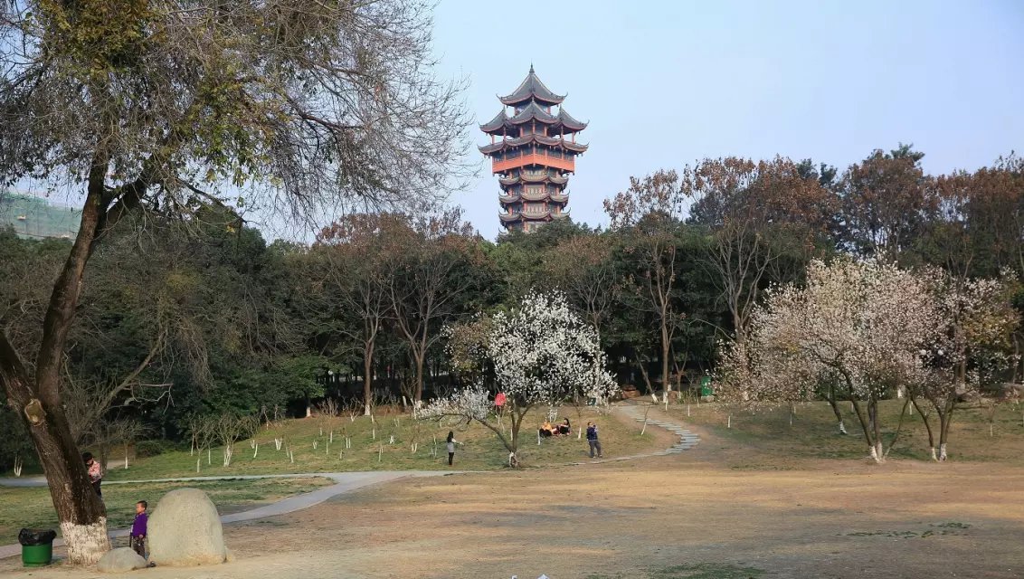 塔子山公园