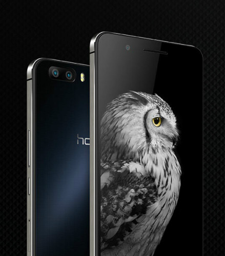 特点更加多样化