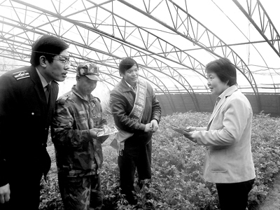 质量信息