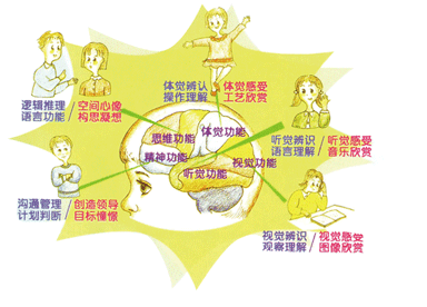 大脑
