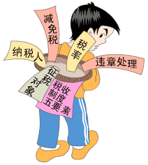 税收制度