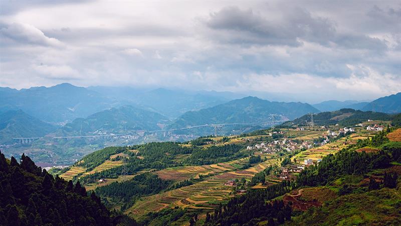美丽梯田